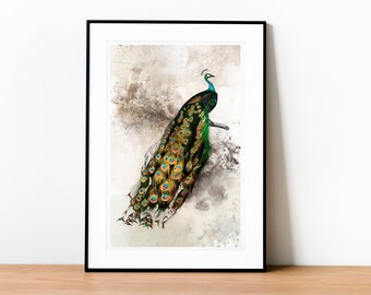 Peacock Print, Bird Wall Art, Peacock Illustration, Peacock feathers, Bird Home Decor Instant Download Printable Wall Art with Bird