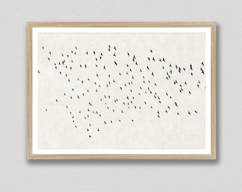 Birds In Flight, Flock Of Birds, Black And White, Art Print, Printable Art, Contemporary Prints, Nature Wall Art, Simple Flying Birds