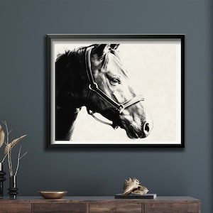Impressão de cavalo, pôster de foto de cavalo, impressão equestre, impressão de cavalo em preto e branco, download digital, fotografia de cavalo, fotografia de cavalo
