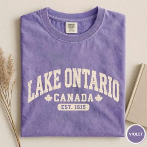 Funny 2026 political humor shirt featuring the Lake America and Lake Ontario renaming theme, designed for Great Lakes lovers and fans of patriotic satire.