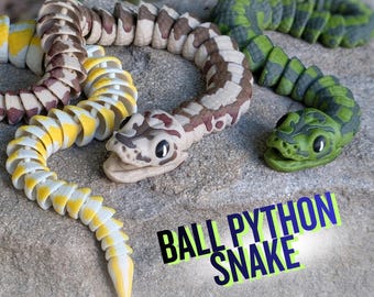 Ball Python Snake