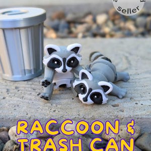 Raccoon & Trash Can