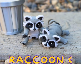 Raccoon & Trash Can