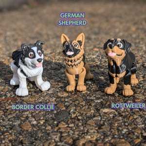 Flexi Dog Fidget zdjęcie 9