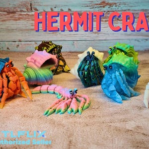 Hermit Crab Fidget