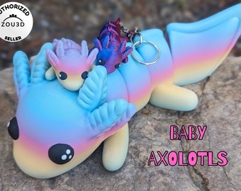 Baby Axolotl (ZOU3D original design)