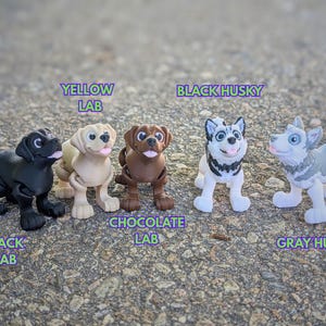 Może przedstawiać: Pięć plastikowych figurek ps&oacute;w, w tym czarny labrador, ż&oacute;łty labrador, czekoladowy labrador, czarny husky i szary husky. Figurki stoją na szarej powierzchni.