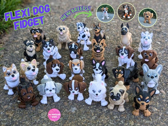 Flexi Dog Fidget