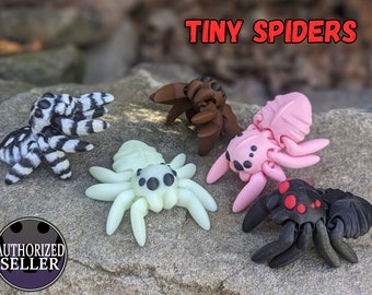 Tiny Spider Fidget