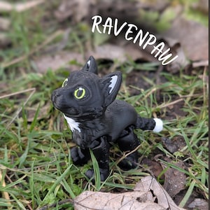 以下が含まれることがあります： 白と黒の3Dプリントされた猫の置物で、白い文字で「RAVENPAW」と書かれています。猫は緑色の目を持ち、草と落ち葉の上に置かれています。