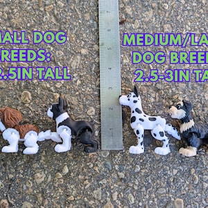 Może przedstawiać: Dwie małe figurki ps&oacute;w, jedna brązowo-biała, a druga czarno-biała, stojące obok linijki mierzącej 6,35 cm wysokości. Dwie większe figurki ps&oacute;w, dalmatyńczyk czarno-biały i czarno-brązowy, stojące obok linijki mierzącej 7,62 cm wysokości. Tekst na obrazku brzmi "SMALL DOG BREEDS: 2-2.5IN TALL" i "MEDIUM/LARGE DOG BREEDS: 2.5-3IN TALL".