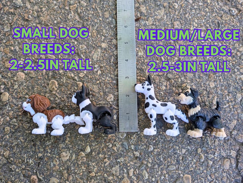Może przedstawiać: Dwie małe figurki ps&oacute;w, jedna brązowo-biała, a druga czarno-biała, stojące obok linijki mierzącej 6,35 cm wysokości. Dwie większe figurki ps&oacute;w, dalmatyńczyk czarno-biały i czarno-brązowy, stojące obok linijki mierzącej 7,62 cm wysokości. Tekst na obrazku brzmi "SMALL DOG BREEDS: 2-2.5IN TALL" i "MEDIUM/LARGE DOG BREEDS: 2.5-3IN TALL".