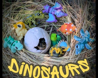 Dinosaur Fidget Collection