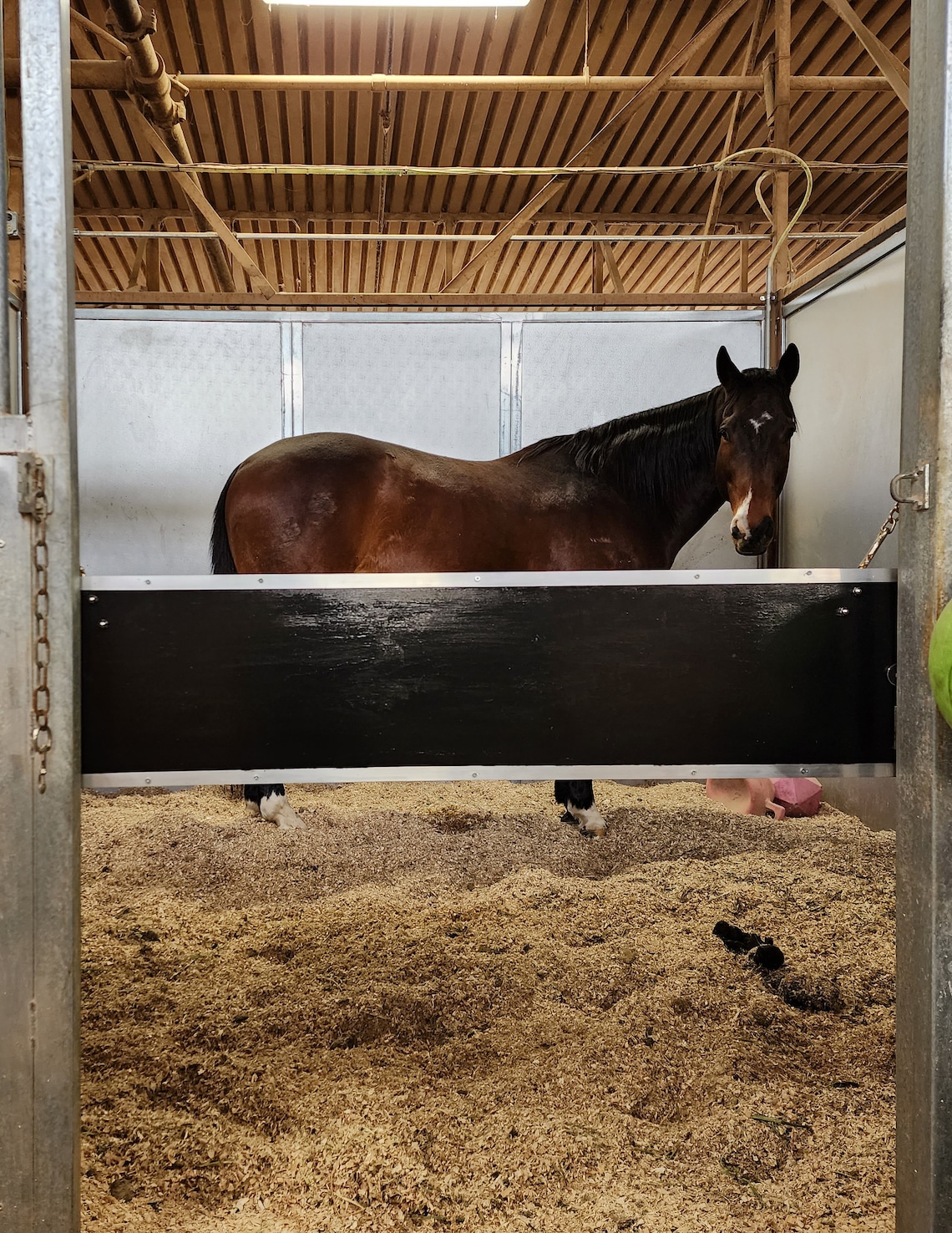 Horse Stall Guard No Permanent Hardware for Metal Stalls Sturdy Wood