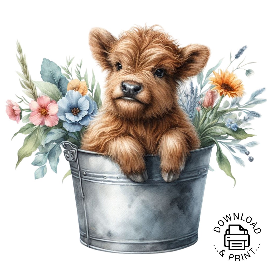 Highland Cow Watercolor Clipart Cute Highland Cow in Bucket Spring ...