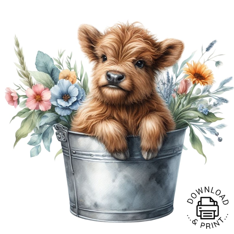 Highland Cow Watercolor Clipart Cute Highland Cow in Bucket Spring ...