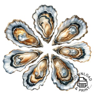 Ostras Clipart, Clipart png, Concha de acuarela, Concha png, Descargas de diseños de sublimación, Camiseta de ostras png, Descarga digital de ostras