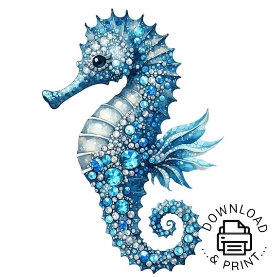 SYLVIA SEAHORSE CLIPS SYLVIA SEAHORSE CLIPS
