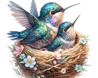 Bunte Kolibri Clipart, Aquarell Kristall Kolibri Clipart PNG, Kristall Clipart, Aquarell Kolibri Png, kommerzielle Nutzung,