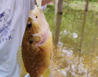 White Crawdad Spinner