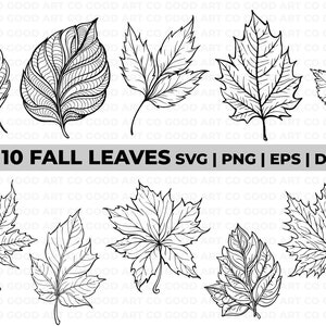 Fall leaf bundle, svg leaves, Autumn Leaf dxf, fall png, Halloween svg, Nature svg, silhouette, Fall cut file, Fall leaves svg, leaf outline