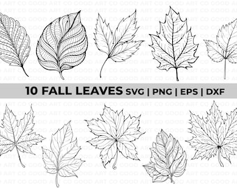 Fall leaf bundle, svg leaves, Autumn Leaf dxf, fall png, Halloween svg, Nature svg, silhouette, Fall cut file, Fall leaves svg, leaf outline