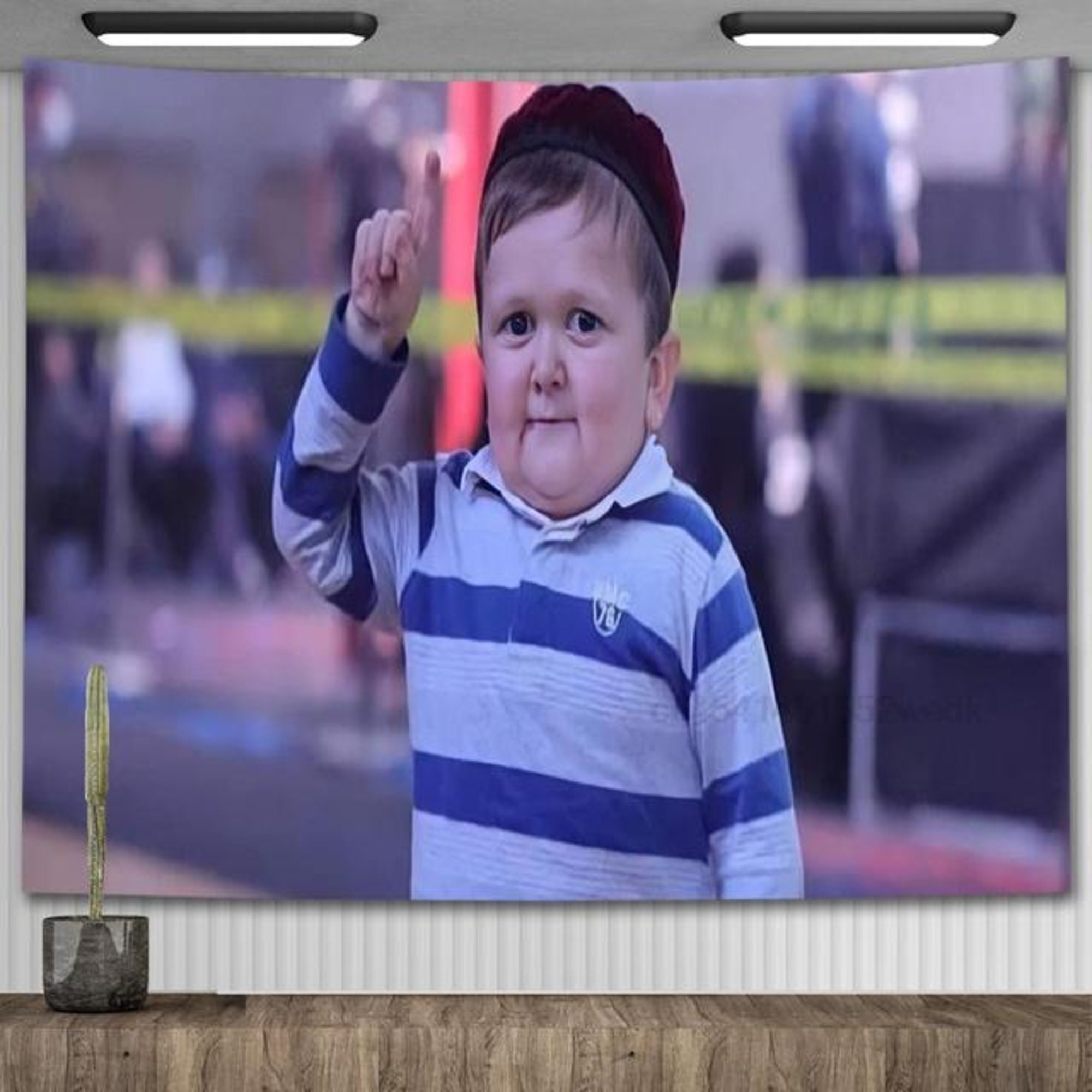 Hasbulla Magomedov Homage Tapestry Poster Wall Decor Flag - Etsy
