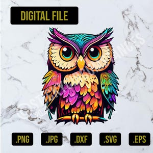 Kommerzielle und persönliche Regenbogen Eule svg, eps, png, jpg und dxf Digital Download