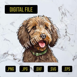 Descarga digital comercial y personal Labradoodle Dog svg, eps, png, jpg y dxf