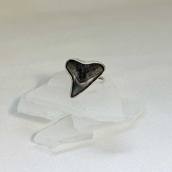 Shark Tooth Ring