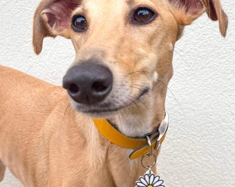 Daisy Pet ID Tag: targhetta per cani/gatti con stampa 3D a forma di fiore