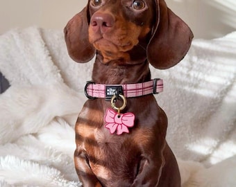 Bow - Targhetta per cani personalizzata stampata in 3D, personalizzabile, sostenibile, identificativa per animali domestici, regalo, portachiavi