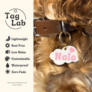 May include: A white cloud-shaped pet tag with the name "Nala" in pink lettering and two pink hearts. The tag is attached to a brown leather collar. The image also includes the "Tag Lab" logo and text highlighting features like "Lightweight" and "Waterproof."