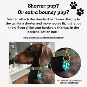 May include: A brown dachshund wearing a green collar with a teal dog tag. The tag has a bone design. Text in the image reads "Shorter pup? Or extra bouncy pup?" and "We can attach the standard hardware directly to the tag for a shorter and more secure fit."