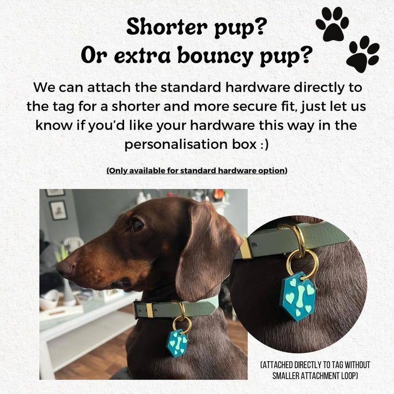 May include: A brown dachshund wearing a green collar with a teal dog tag. The tag has a bone design. Text in the image reads "Shorter pup? Or extra bouncy pup?" and "We can attach the standard hardware directly to the tag for a shorter and more secure fit."