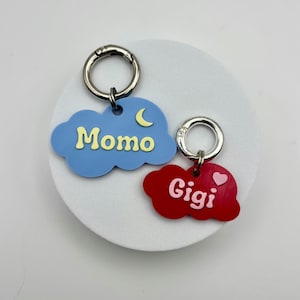 May include: Two cloud-shaped pet tags. One is light blue with the name "Momo" in yellow and a crescent moon. The other is red with the name "Gigi" in white and a pink heart. Both have silver key rings.