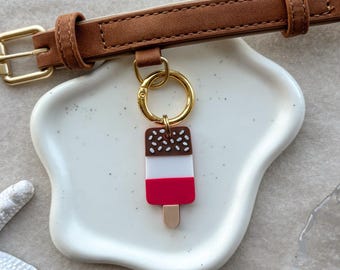 Targhetta per animali domestici Ice Lolly - personalizzabile, animale domestico, accessori, estate, cane, gatto, FAB