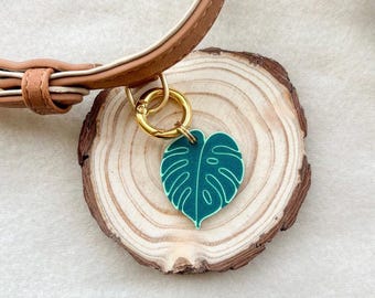 Targhetta per animali domestici con foglia di Monstera - personalizzata, su misura, targhetta per cani, accessori, portachiavi