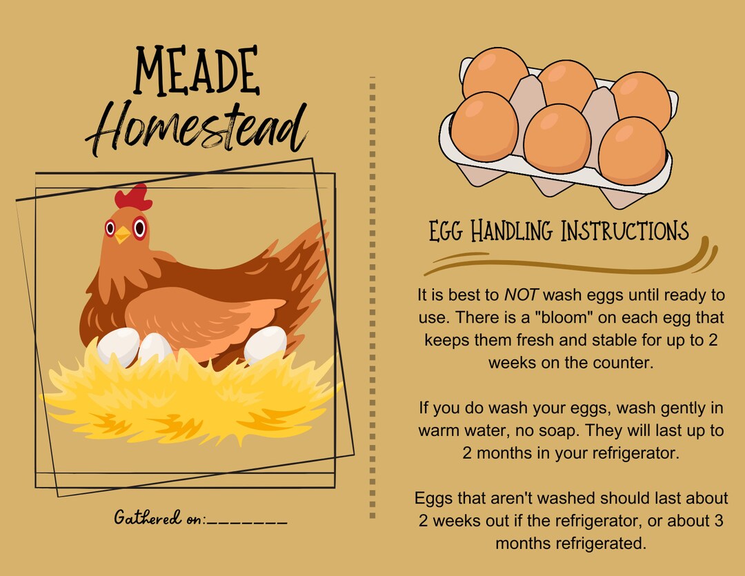Egg Handling Instructions Notecard Set of 20 - Etsy