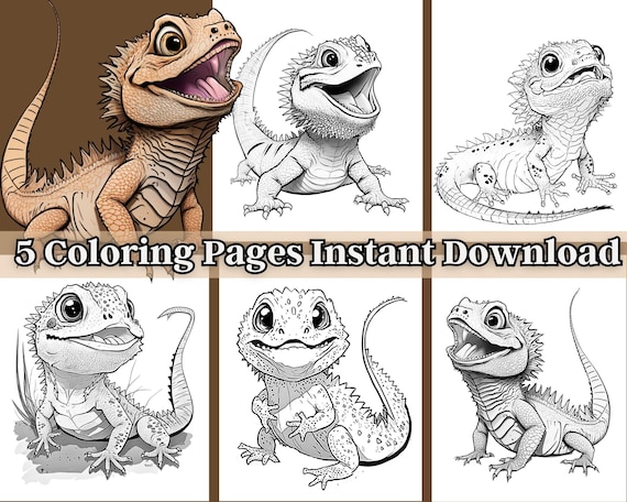 Bearded Dragon Coloring Pages - Il 570xN.4926682043 Fnp7 