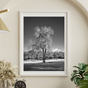 Tree Photo Print, Minimalist Photo, Tree in Winter, Tree Art, Tree Photography, Bare Winter Tree Picture, Nature Photography Wall Art