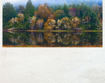 Forest Reflection Photo Print, Pacific Northwest Landscape Art