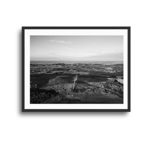 Bandon Dunes Art, monochrome foto van een spookboom | Zwart-wit | Muurdecoratie met links naar de kust van Oregon