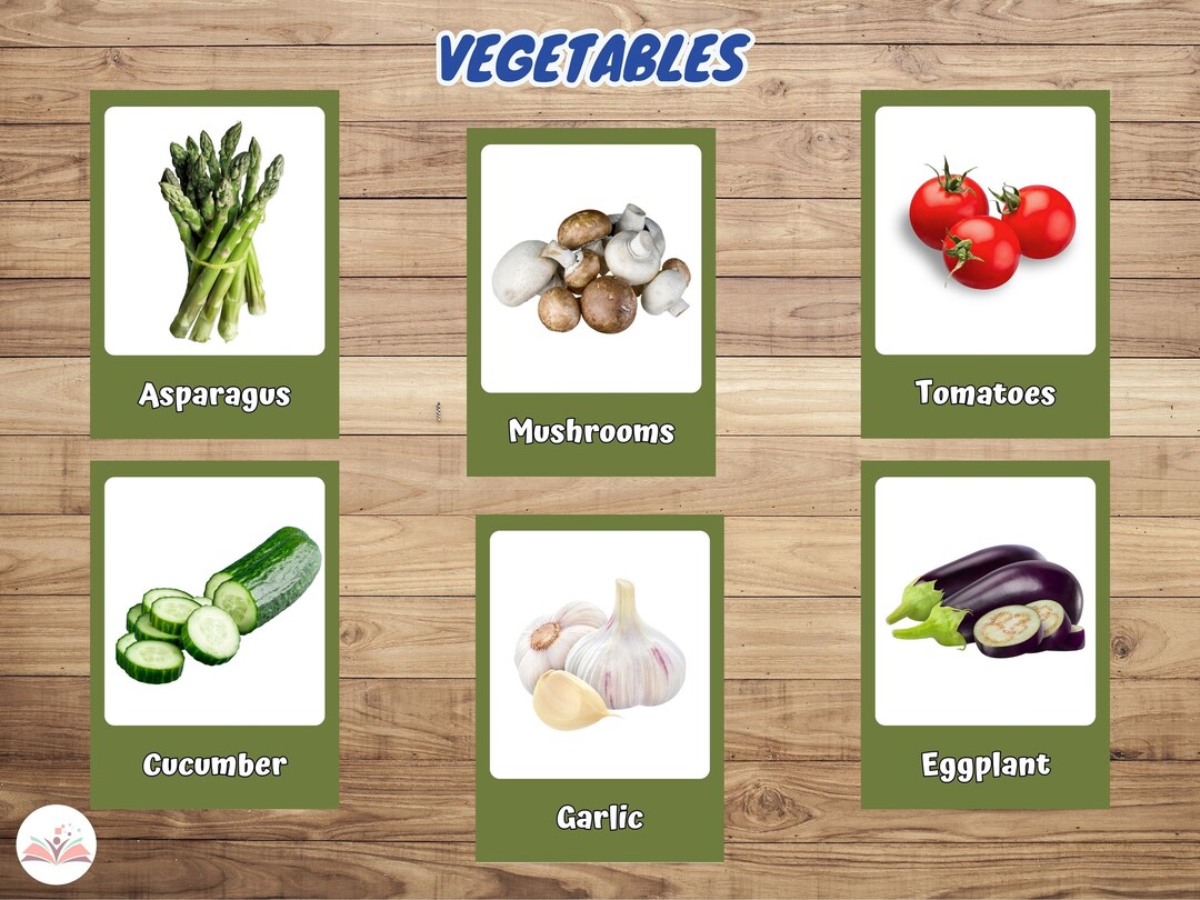 Educational Printable Cards, Flash Cards Nomenclature, Digital Card ...