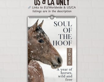 US-CA horse wall calendar 2026, equestrian gift, wall decor, horse art, wild horse decor, horse photography, positive quotes, 2026 planner