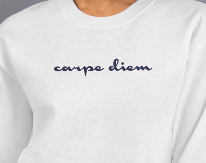 Carpe Diem Embroidered Sweatshirt, Pullover, Positive Vibes, Seize the Day, Enjoy the Present, Gift for Friend, Stay Positive Sweater