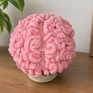 Puede incluir: Un gorro de ganchillo rosa claro diseñado para parecerse a un cerebro humano, con texturas de hilo intrincadas, elevadas y en espiral que imitan la apariencia de las circunvoluciones cerebrales, centradas alrededor de una fisura central.
