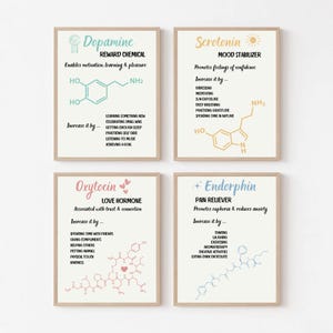 Hormones du bonheur, produits chimiques heureux, lot de 4 affiches sur la santé mentale, impression d'art mural pour thérapie, décoration de bureau, comment les augmenter, imprimable