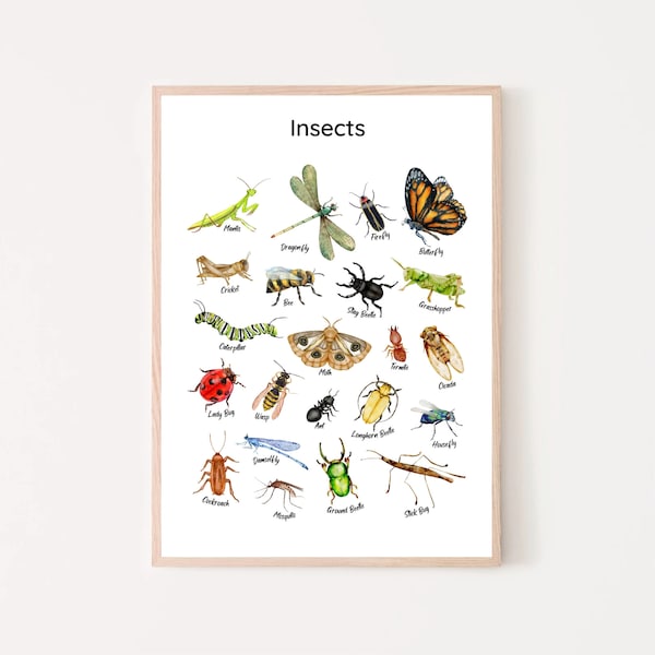 Insects Educational Posters, Montessori homeschool classroom decor,  kids learning printables for toddlers preschool playroom wall art bugs