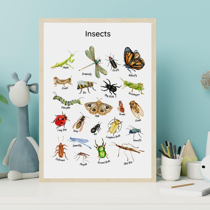 Insects Educational Posters Bugs Chart Classroom Decor Montessori ...